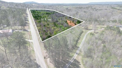 /international/us/-0-hwy-23-ashville-al-110106380171/