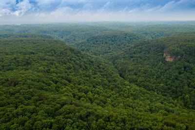 /international/us/916-n-rim-drive-coalmont-tn-110106953197/