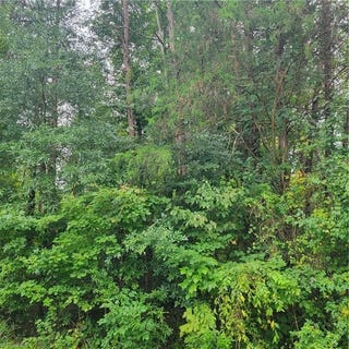 /international/us/ambridge-drive-kernersville-nc-110103381568/