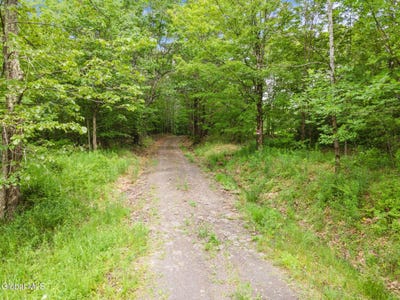 /international/us/255-lassen-road-middleburgh-ny-110104601382/