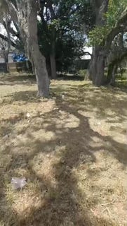 /international/us/2118-steiner-ave-sebring-fl-110100978463/