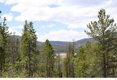 /international/us/5713-n-county-road-73c-red-feather-lakes-co-110110082634/