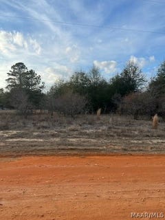 /international/us/deer-loop-lot-44-camden-al-110081757181/
