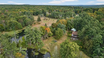 /international/us/1122-county-route-31-glen-spey-ny-110120558042/