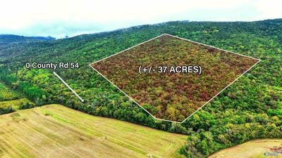 /international/us/37-county-road-54-stevenson-al-110120417093/