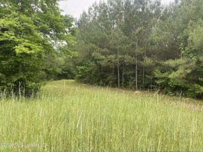 /international/us/grady-lane-magnolia-ms-110107486743/