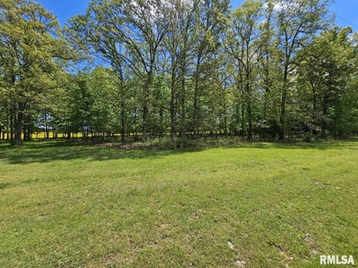 /international/us/lot-2-n-wildwood-place-dix-il-110099232863/