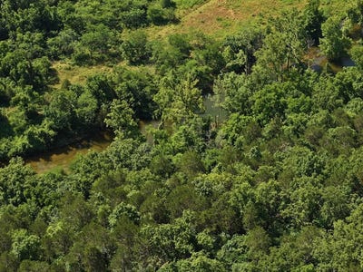 /international/us/county-road-630-gainesville-mo-110107982922/