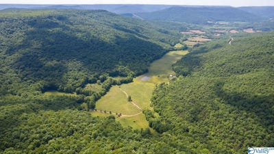 /international/us/178-county-road-142-princeton-al-110089405084/?lang=zh-cn