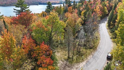 /international/us/0-rock-street-vermontville-ny-110092169880/?lang=zh-tw