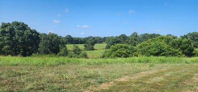 /international/us/state-hwy-90-65-acres-washburn-mo-110108227429/