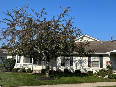 /international/us/8596-victoria-meadow-lane-reynoldsburg-oh-110101481012/