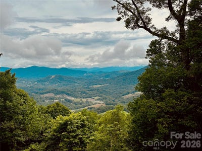 /international/us/1024-arrowhead-ridge-road-spruce-pine-nc-110102007923/
