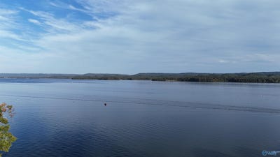 /international/us/38-pine-island-point-scottsboro-al-110120723032/