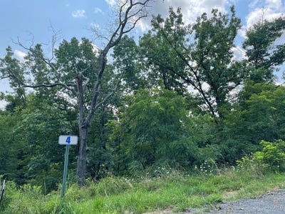 /international/us/hemlock-hills-rd-lot-4a-towanda-pa-110102852685/