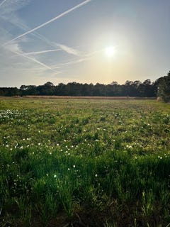 /international/us/evergreen-road-lot-122-harborton-va-110101679566/