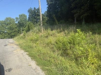 /international/us/tract-3-carroll-hollow-rd-waynesboro-tn-110119482611/