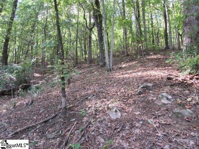 /international/us/832-whispering-falls-drive-pickens-sc-110090242568/?lang=zh-tw
