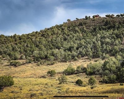 /international/us/tbd-road-35-mancos-co-110101366813/