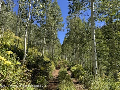 /international/us/f-s-602-road-glenwood-springs-co-110108823308/