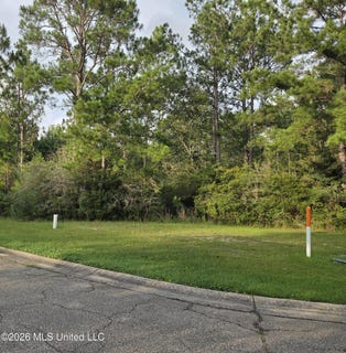 /international/us/shell-landing-boulevard-lot-172-gautier-ms-110108932554/