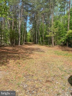 /international/us/0-0-carters-gate-rd-ruther-glen-va-110107755603/