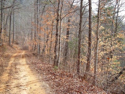 /international/us/cedar-cliff-stovall-lot-14-tuckasegee-nc-110106297931/