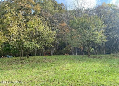 /international/us/1381-carlisle-rd-carrollton-ky-110100345518/