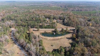 /international/us/4150-county-road-211-eutaw-al-110106467187/