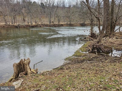 /international/us/deer-rapids-road-strasburg-va-110099598866/