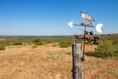 /international/us/reeves-ranch-memphis-tx-110101538795/?lang=es