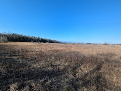 /international/us/south-road-addison-ny-110106325919/