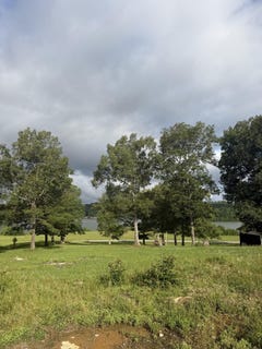 /international/us/00-lot-2-lost-creek-rd-russellville-al-110108977325/