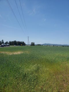 /international/us/34xxx-n-highway-395-hwy-deer-park-wa-110098934295/?lang=en