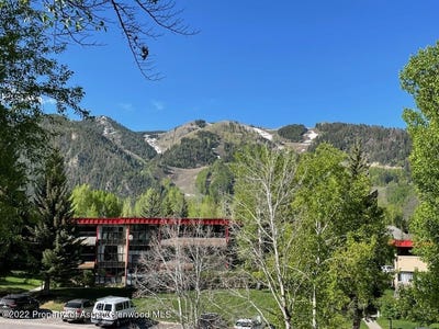 /international/us/335-vine-street-aspen-co-110077170423/