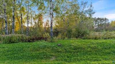 /international/us/tbd-jenny-farms-ln-hermantown-mn-110106599525/