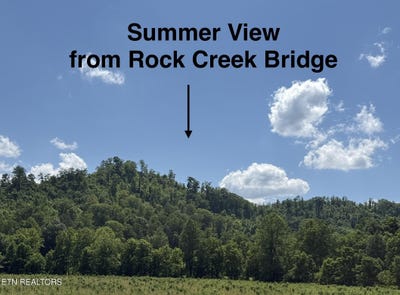 /international/us/hickory-creek-rd-lafollette-tn-110106956583/