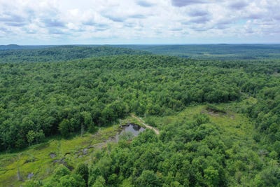 /international/us/460-little-john-road-colton-ny-110101393782/?lang=en