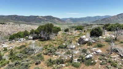 /international/us/8099-crystal-springs-road-mccammon-id-110107240762/
