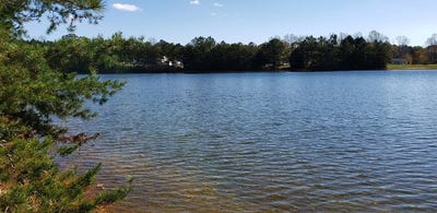 /international/us/indian-valley-road-lot-3-heathsville-va-110060795493/