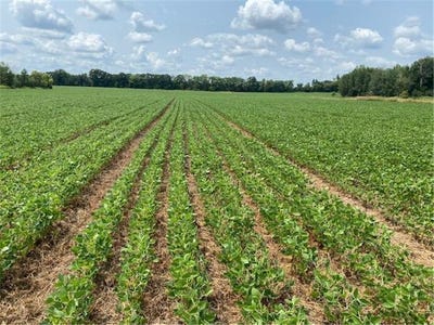 /international/us/tbd-160th-st-foreston-mn-110104868941/