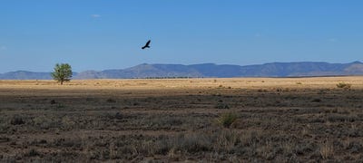/international/us/rio-del-oro-loop-n-los-lunas-nm-110051089694/?lang=zh-tw