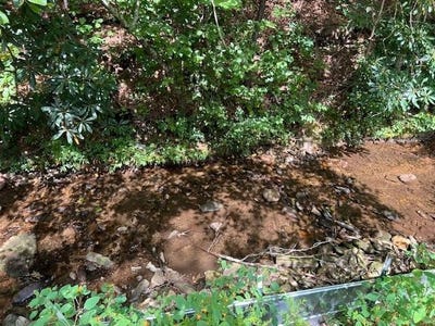 /international/us/184-196-bear-bend-blairsville-ga-110108449105/