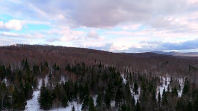 /international/us/walkerville-road-brandon-ny-110103547973/