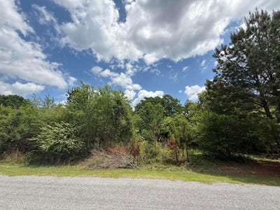 /international/us/320-harpers-ln-ashville-al-110107545817/