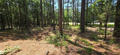 /international/us/hwy-182-fair-play-sc-110100749239/?lang=zh-tw