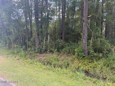 /international/us/2539-chauncey-town-road-lake-waccamaw-nc-110108206779/