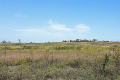 /international/us/county-road-335-lot-1-shiner-tx-110106853567/