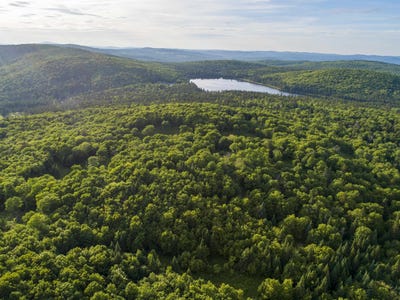 /international/us/7-diamond-pond-road-lot-b-stewartstown-nh-110106921317/
