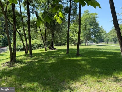 /international/us/westernport-road-sw-westernport-md-110109210611/